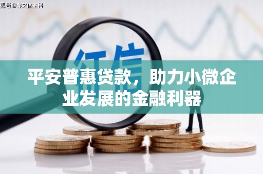 善化平安普惠贷款，助力小微企业发展的金融利器