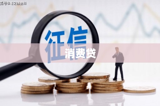 善化消费贷
