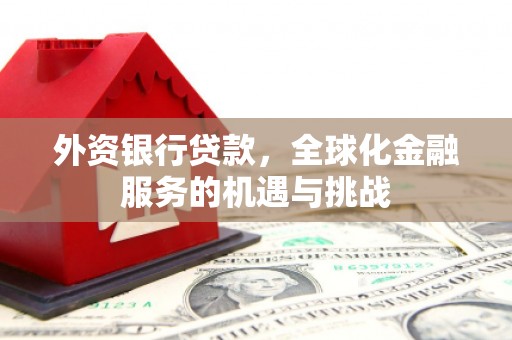善化外资银行贷款，全球化金融服务的机遇与挑战