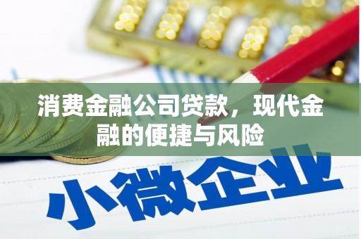 善化消费金融公司贷款，现代金融的便捷与风险