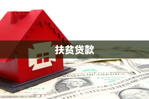 善化扶贫贷款