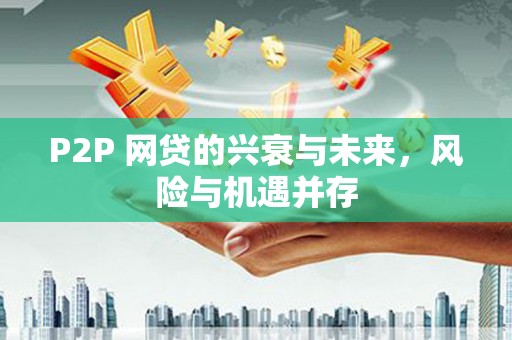 善化P2P 网贷的兴衰与未来，风险与机遇并存