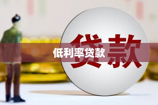 善化低利率贷款