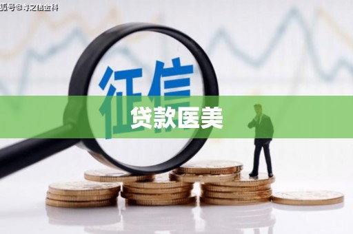 善化贷款医美