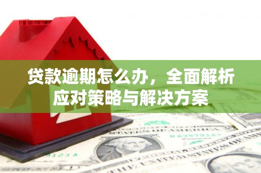 善化贷款逾期怎么办，全面解析应对策略与解决方案