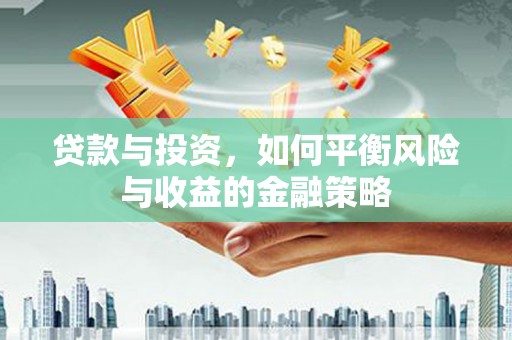 善化贷款与投资，如何平衡风险与收益的金融策略