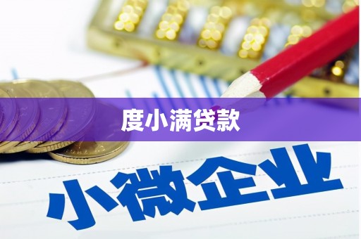 善化度小满贷款