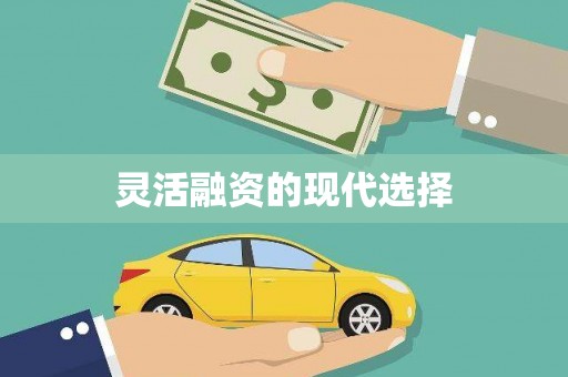 善化灵活融资的现代选择