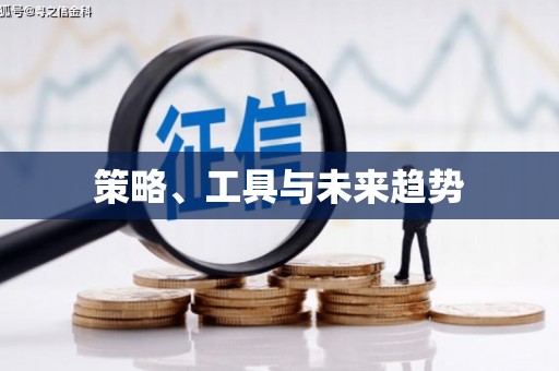 善化策略、工具与未来趋势