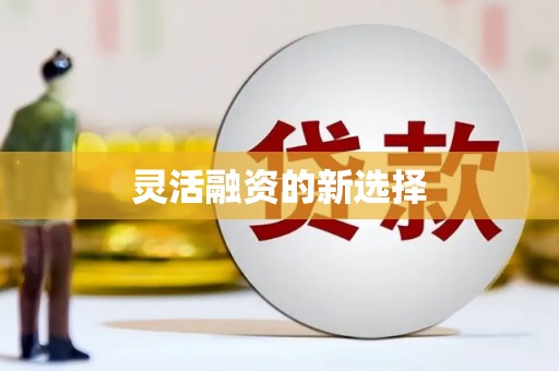 善化灵活融资的新选择
