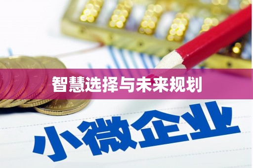 善化智慧选择与未来规划