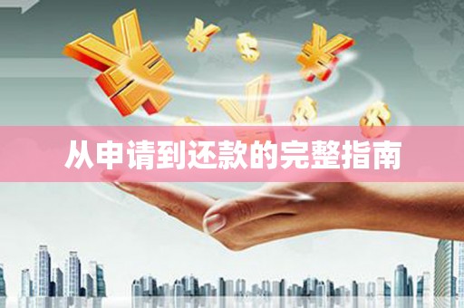 善化从申请到还款的完整指南