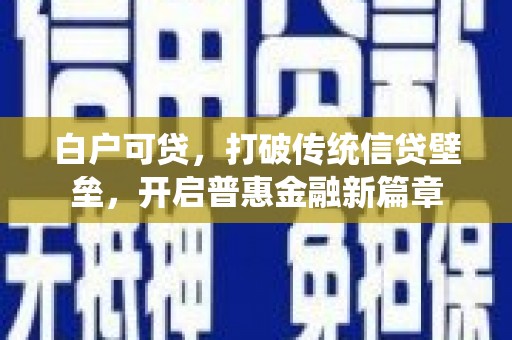 善化白户可贷，打破传统信贷壁垒，开启普惠金融新篇章