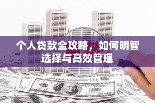 善化个人贷款全攻略，如何明智选择与高效管理