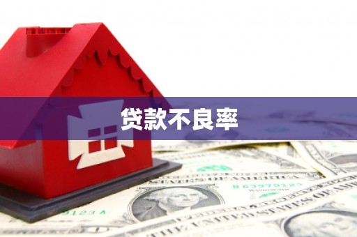 善化贷款不良率