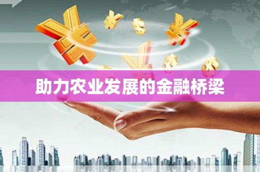善化助力农业发展的金融桥梁