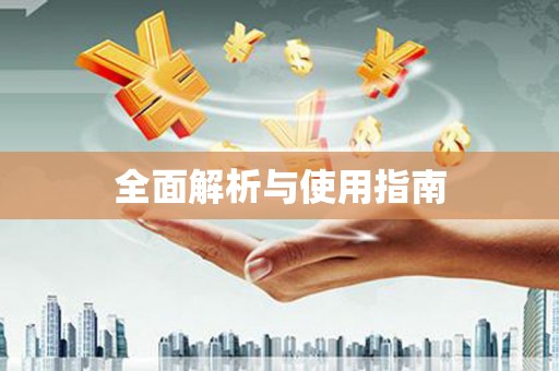 善化全面解析与使用指南