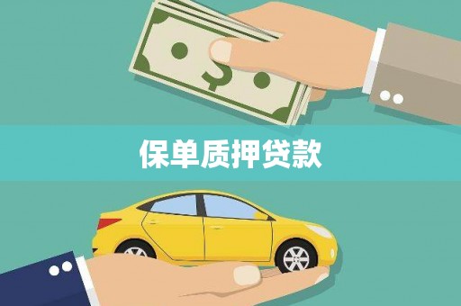 善化保单质押贷款