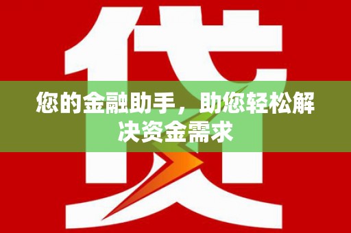 善化您的金融助手，助您轻松解决资金需求