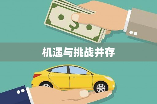 善化机遇与挑战并存