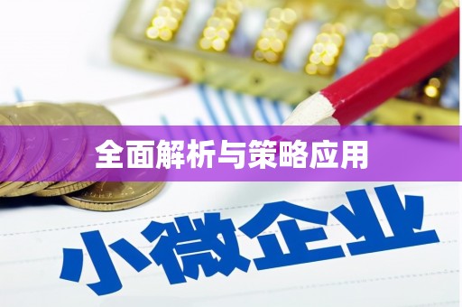 善化全面解析与策略应用