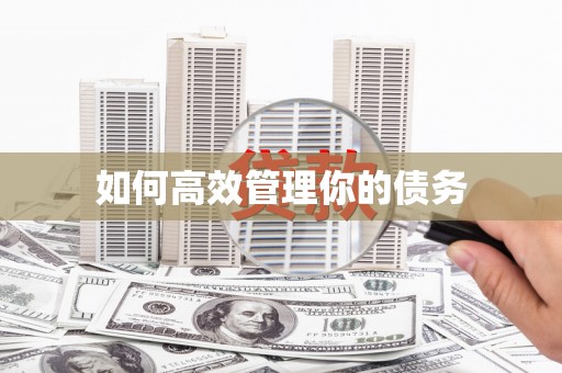 善化如何高效管理你的债务