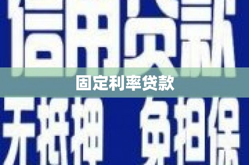 善化固定利率贷款