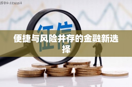 善化便捷与风险并存的金融新选择