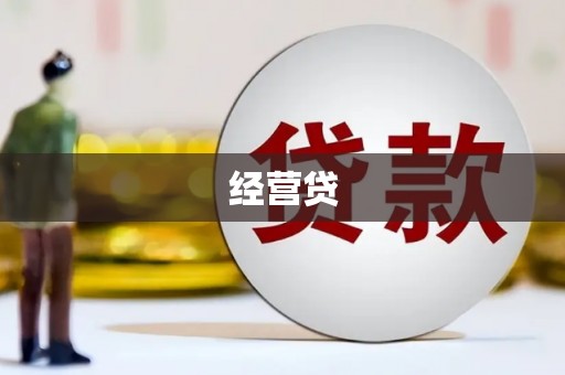 善化经营贷