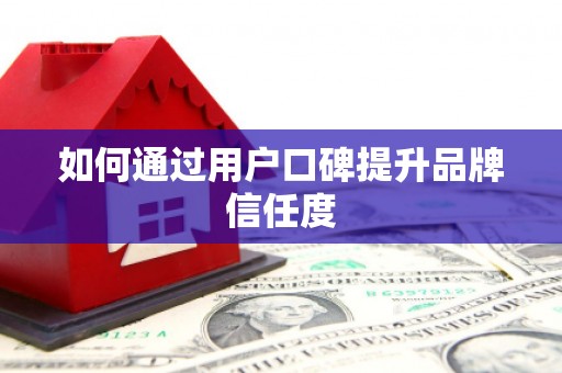 善化如何通过用户口碑提升品牌信任度
