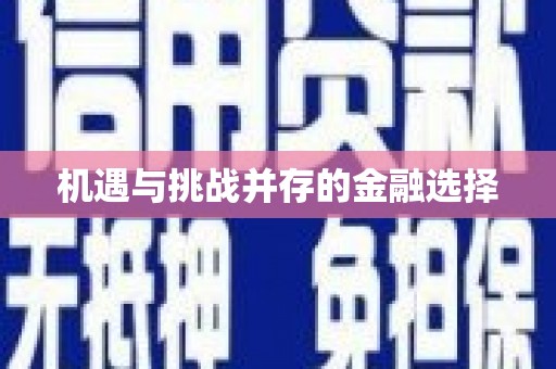 善化机遇与挑战并存的金融选择