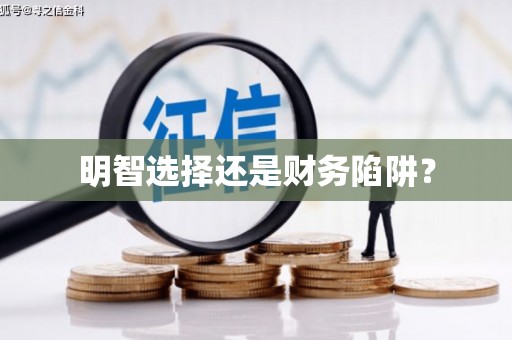 善化明智选择还是财务陷阱？