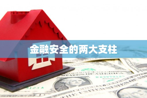 善化金融安全的两大支柱