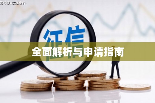 善化全面解析与申请指南