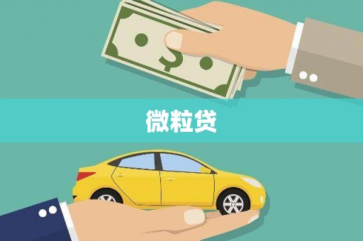 善化微粒贷