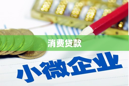 善化消费贷款