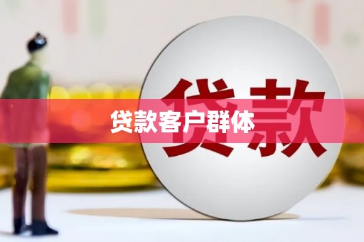 善化贷款客户群体