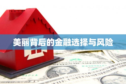 善化美丽背后的金融选择与风险