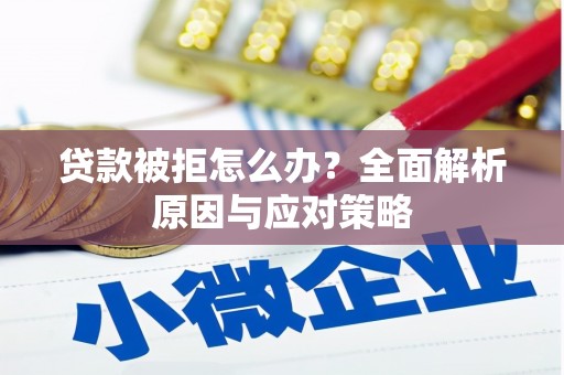 善化贷款被拒怎么办？全面解析原因与应对策略