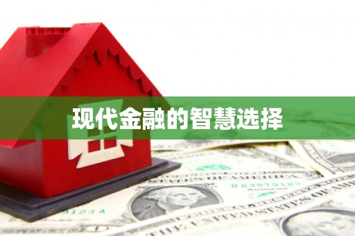 善化现代金融的智慧选择