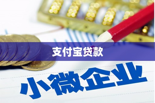 善化支付宝贷款
