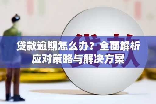 善化贷款逾期怎么办？全面解析应对策略与解决方案
