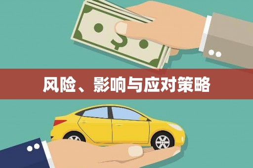 善化风险、影响与应对策略