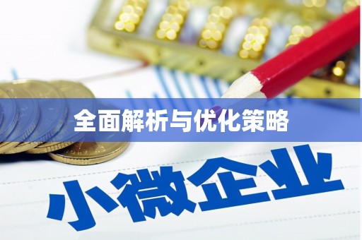 善化全面解析与优化策略