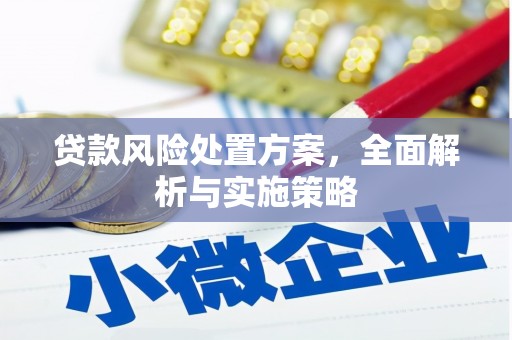 善化贷款风险处置方案，全面解析与实施策略