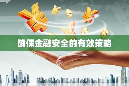 善化确保金融安全的有效策略