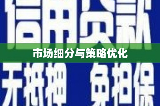 善化市场细分与策略优化