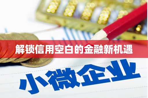 善化解锁信用空白的金融新机遇
