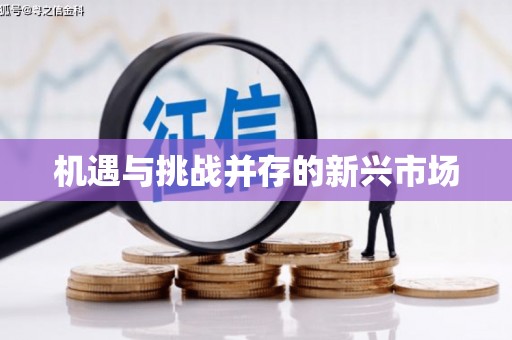 善化机遇与挑战并存的新兴市场