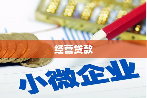 善化经营贷款